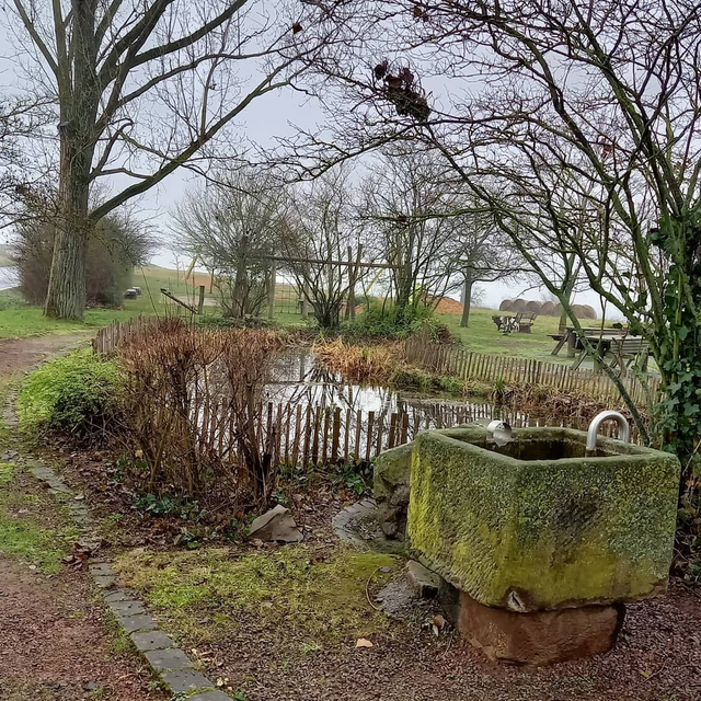 BENNHAUSEN, Klimaschutz vor Ort