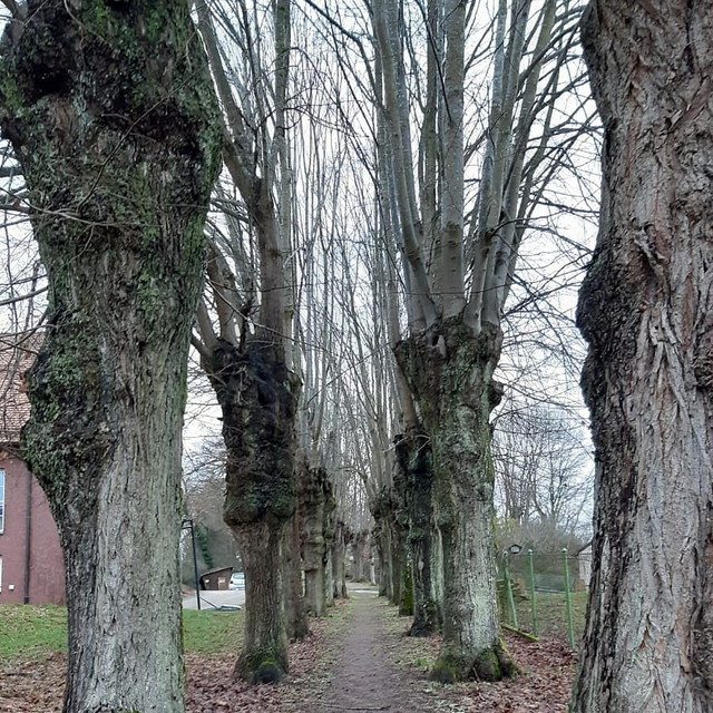 WARTENBERG-ROHRBACH, Tor zur Nordpfalz