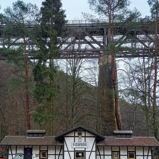 RAMSEN, die Eis und der Wald