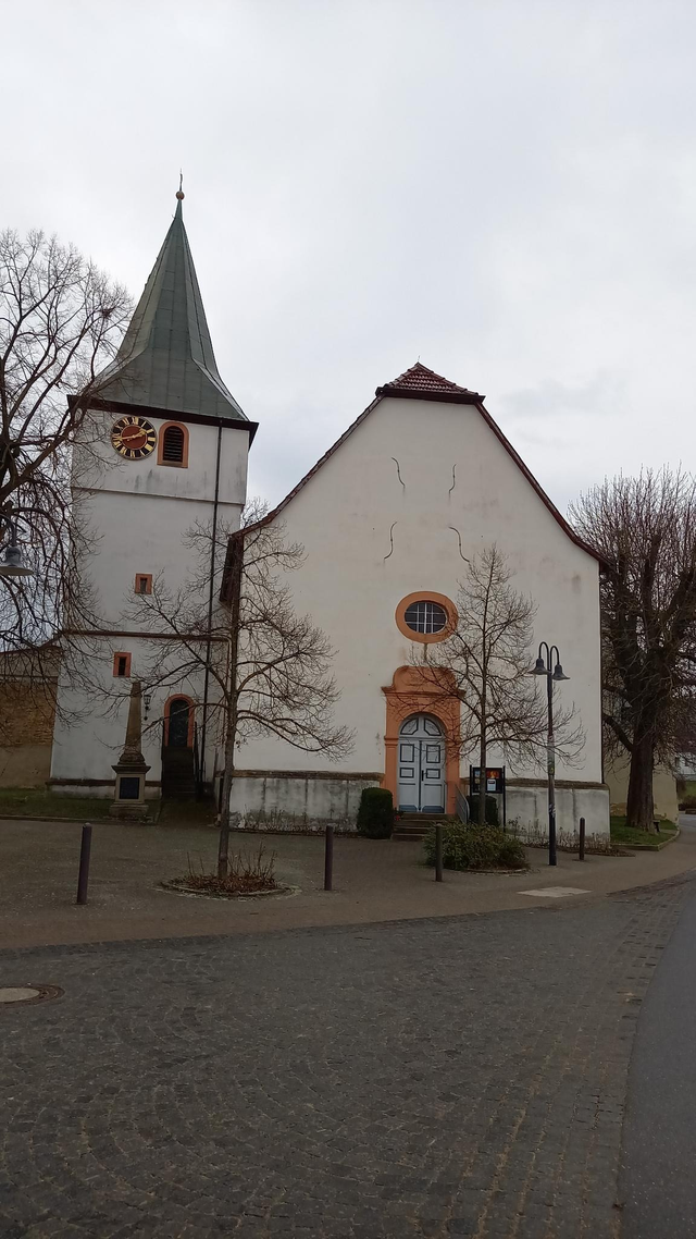 NIEDERMOSCHEL, Lewenstein und S' Bawettche