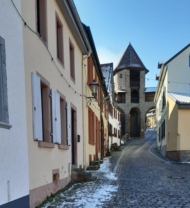 KIRCHHEIMBOLANDEN, Kleine Residenz