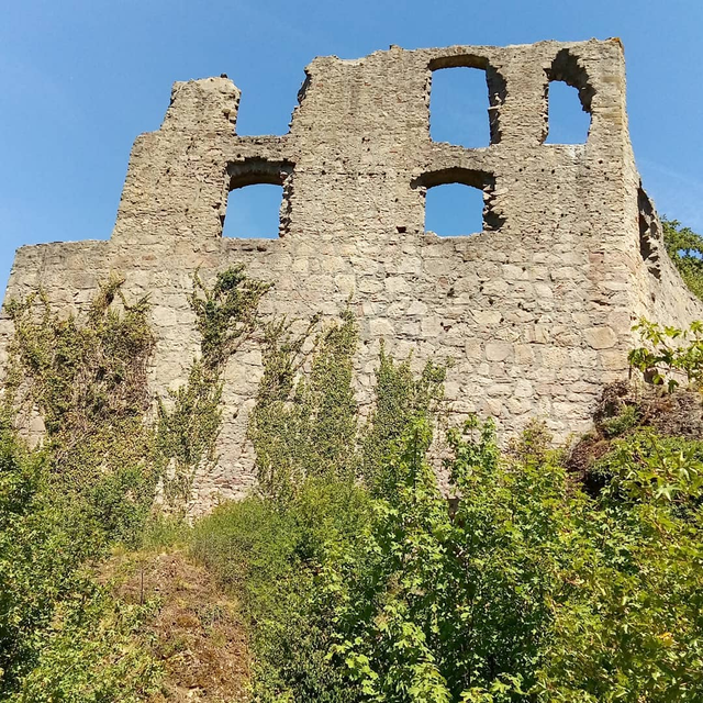 FALKENSTEIN, die Burgruine thront über dem Tal