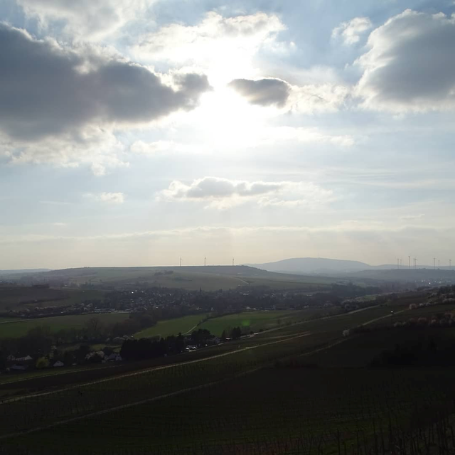 ZELLERTAL, Weine aus drei Dörfern