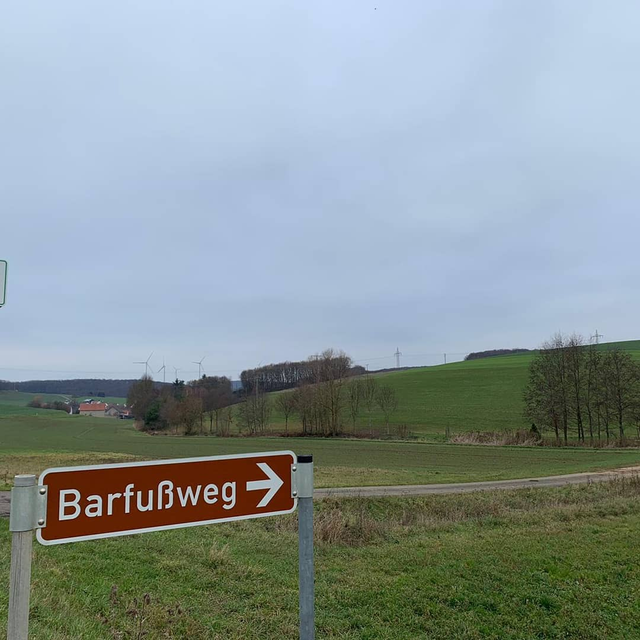 TESCHENMOSCHEL, Barfußpfad an der Moschel
